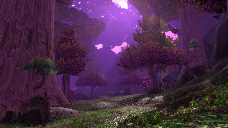World of Warcraft, Teldrassil, Shadowglen, Night Elves, forest, HD wallpaper