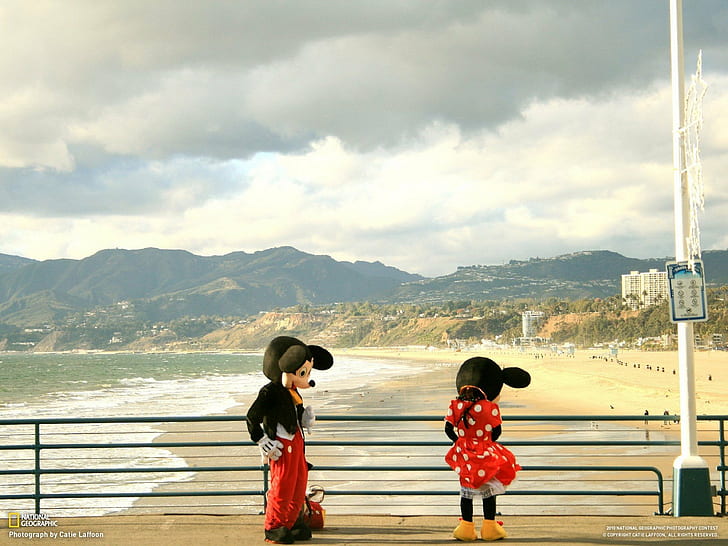 HD wallpaper: beach, california, costume, funny, geographic, landscapes,  mickey | Wallpaper Flare