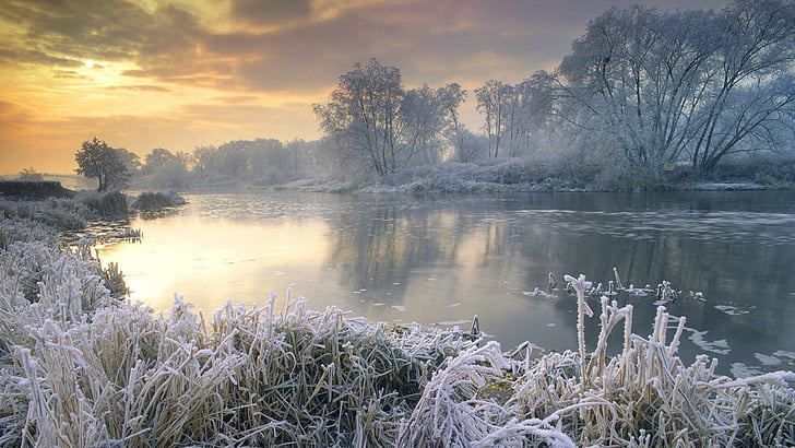 frozen, mist, dawn, tree, freezing, nature, water, reflection, HD wallpaper
