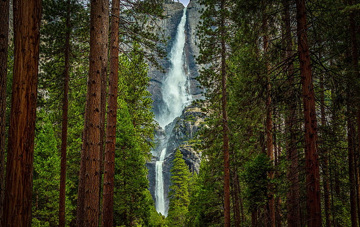 Mountains, forest, rock, photography of forest waterfall, trees