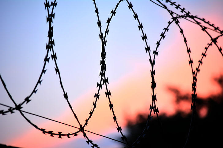 silhouette of barbwire, netting, fencing, barbed Wire, prison, HD wallpaper