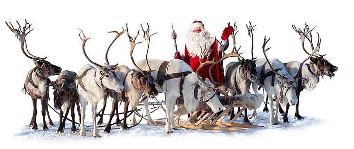 HD wallpaper: Santa Claus, sleigh, deer, winter, snow, animal, reindeer,  christmas | Wallpaper Flare