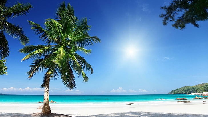 summer, blue sky, tropical, exotic, holiday, beach, white sand