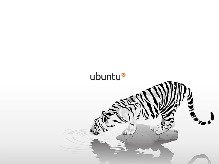 white tiger illustration, Linux, GNU, Ubuntu, western script, HD wallpaper