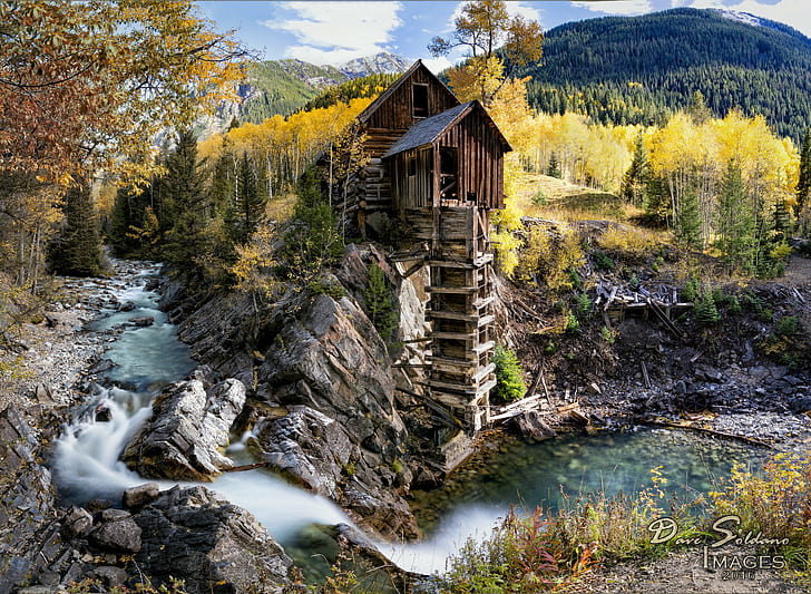 brown wooden house surrounding green leaf trees near river at daytime, crystal mill, crystal mill