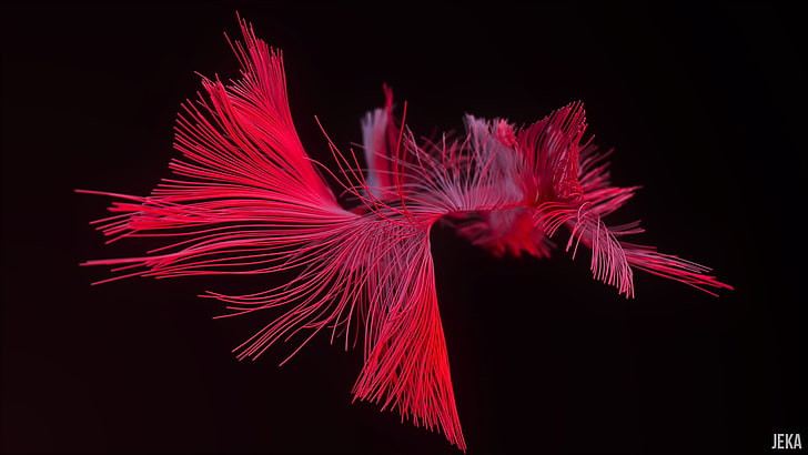 red wire illustration, 3D, render, Cinema 4D, Blender, glass