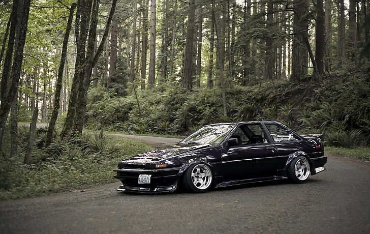 black coupe, forest, Toyota, AE86, stance, Corolla, JDM, car