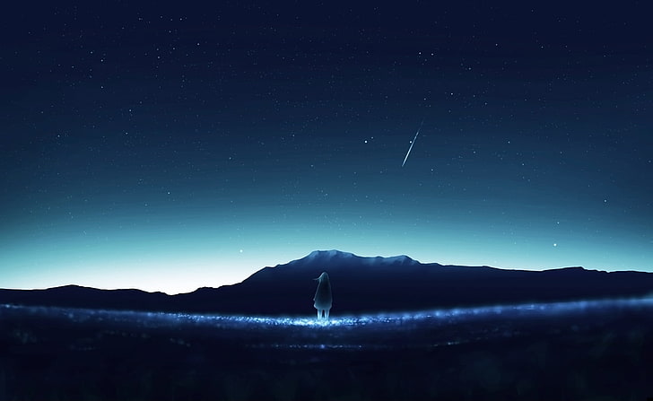 HD wallpaper: anime landscape, night, girl, falling star, sky, star - space  | Wallpaper Flare