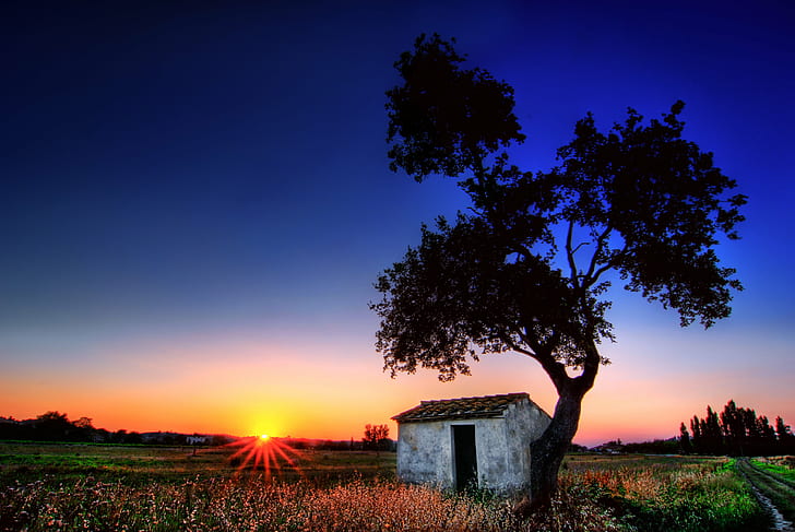 house beside tree at the field during sunset, tuscany, tuscany