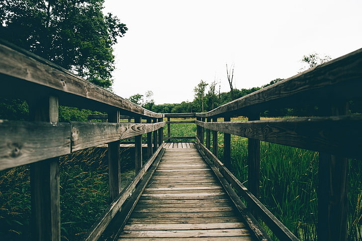 brown wooden bridge, landscape, nature, connection, plant, the way forward