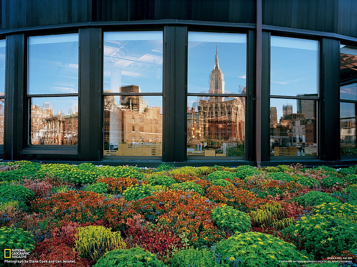 HD wallpaper: Rooftop Garden Manhattan-National Geographic photo.., bed of  flowers | Wallpaper Flare