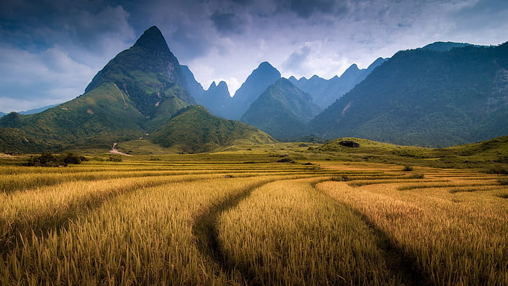 Asia Farm Landscape, grain field near mountain during daytime, HD wallpaper