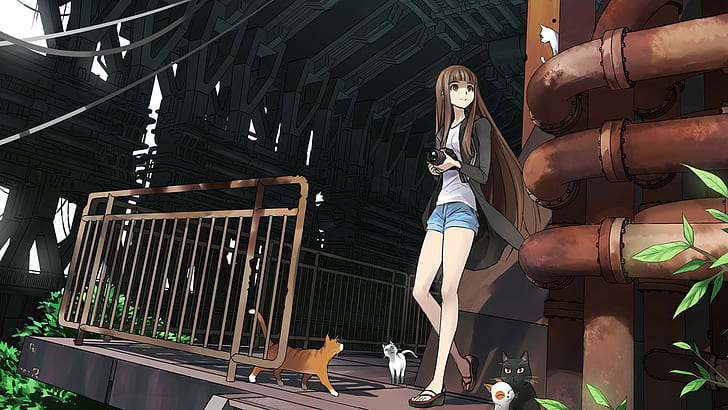 Anime Girls, cat, Jean Shorts, short Shorts, HD wallpaper