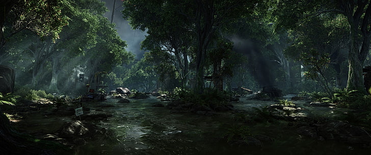 forest trail, Crysis 3, video games, stream, tree, water, plant, HD wallpaper