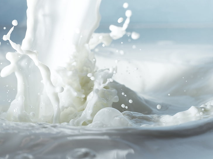white milk, close-up, spray, liquid, splashing, drop, freshness, HD wallpaper