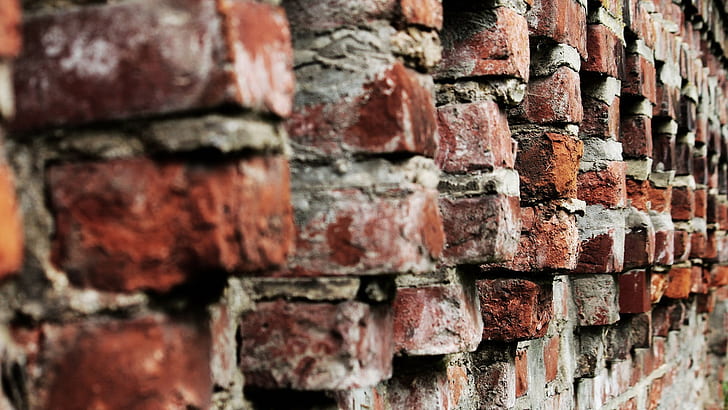 bricks, wall, HD wallpaper