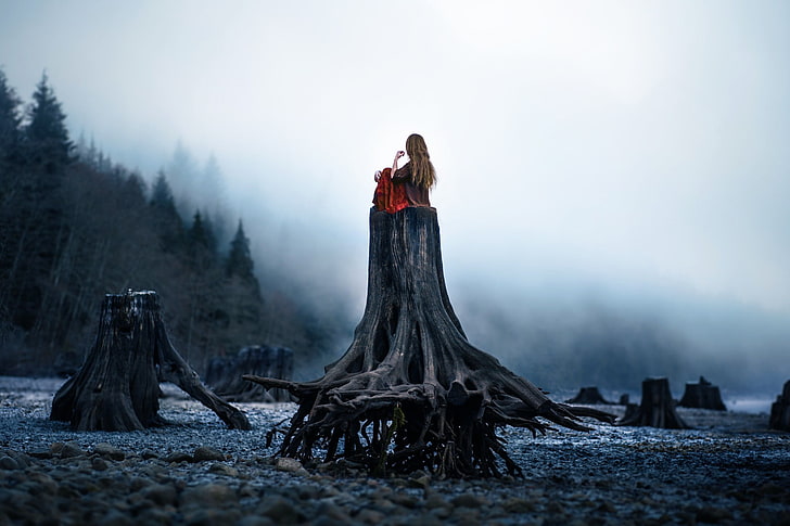 woman sitting on top of wood trunk, women outdoors, landscape