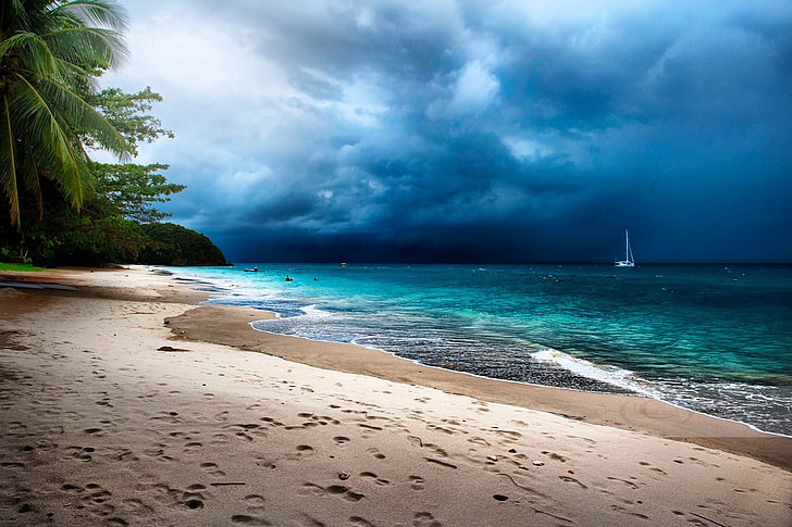 seashore and palm trees, tropical, beach, sand, storm, island, HD wallpaper