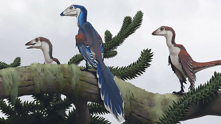 Simon Stålenhag, dinosaurs, bird, animals in the wild, vertebrate, HD wallpaper