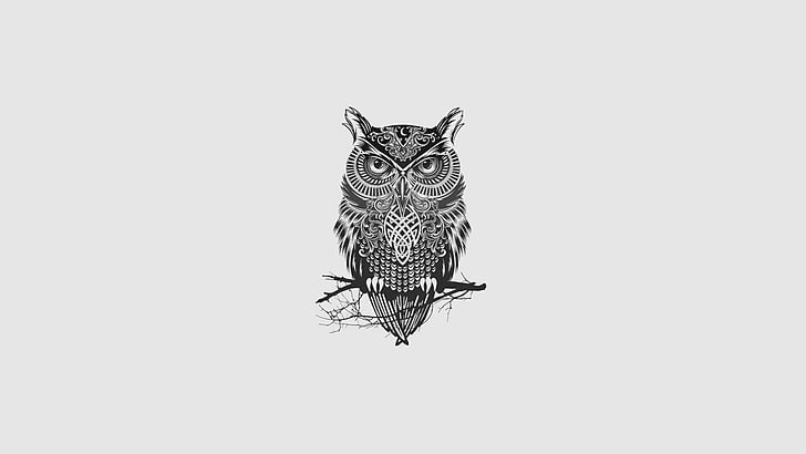 HD wallpaper minimalism monochrome owl tattoo  Wallpaper Flare