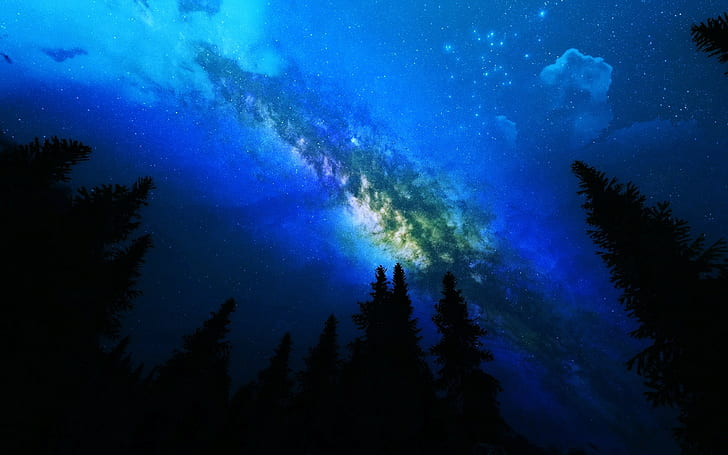 Milky Way, pine trees, space