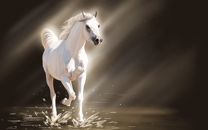 White Young Horse, horses, white horse
