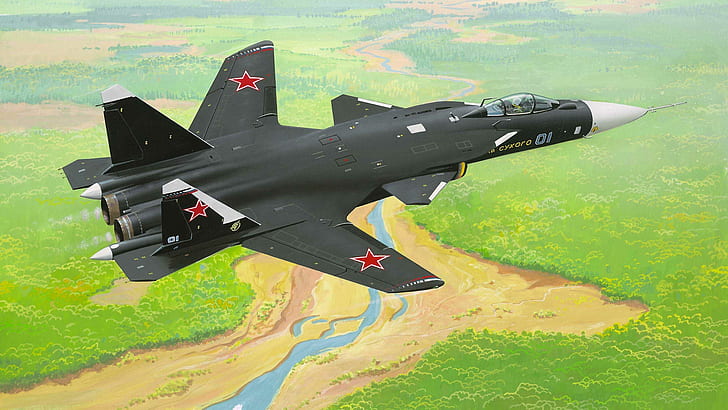 figure, fighter, Su-47, Eagle, C-37, Firkin, the forward-swept wing, HD wallpaper