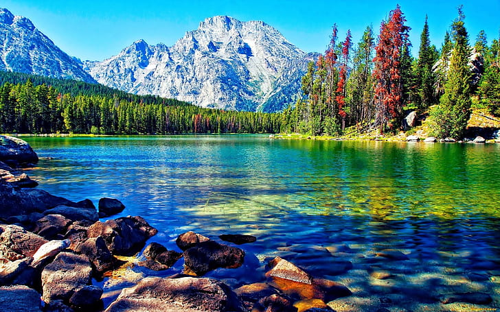Với hình nền HD kết hợp giữa hồ đẹp và núi rừng trong bức ảnh này, bạn sẽ được thưởng thức một phong cảnh hoang sơ đầy ấn tượng. Đây là lựa chọn hoàn hảo cho những ai muốn thêm sự sống động và tươi mới cho desktop của mình. Cùng trải nghiệm và tận hưởng vẻ đẹp tự nhiên của hình nền này.