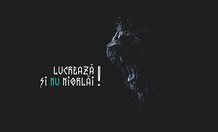 black roaring lion digital wallpaper, brilliancereview, lucreaza, HD wallpaper