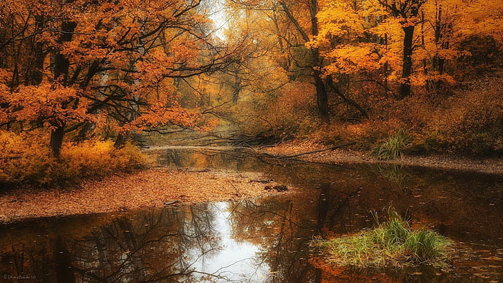 *** Simply Beautiful Autumn ***, natura, drzewa, rzeka, jesien, HD wallpaper