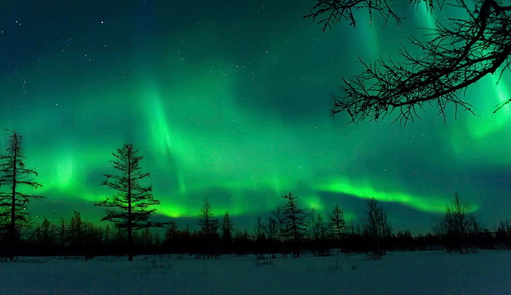 Auroras boreales 1080P, 2K, 4K, 5K HD wallpapers free download | Wallpaper  Flare