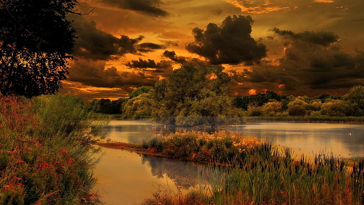 reflection, nature, water, sky, wilderness, vegetation, wetland, HD wallpaper