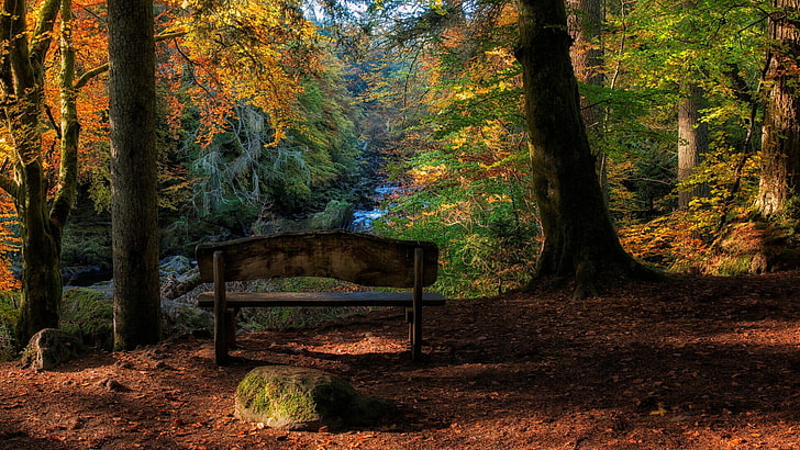HD%20wallpaper:%20bench,%20lonely%20bench,%20woodland,%20nature,%20cairngorms%20national%20%20park%20|%20Wallpaper%20Flare
