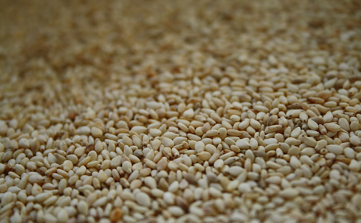 Sesame, bunch of dried seeds, Aero, Macro, selective focus, backgrounds, HD wallpaper