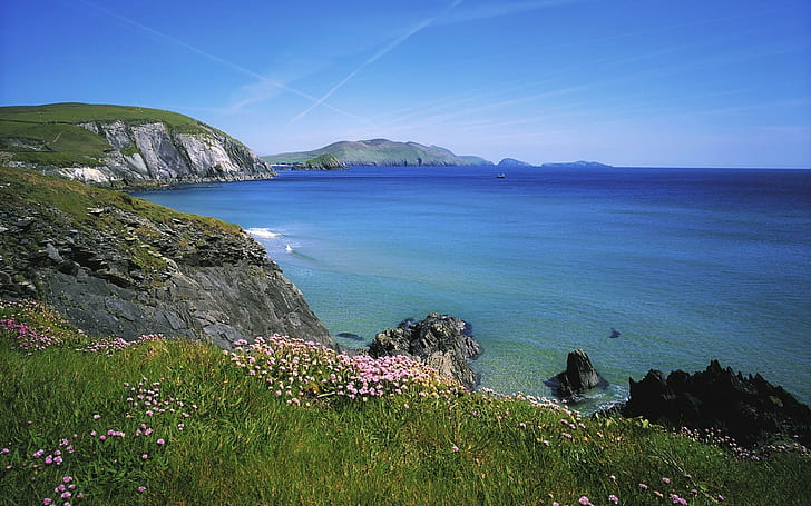 Blasket Islands, green grass near seashore, beaches, 1920x1200, HD wallpaper