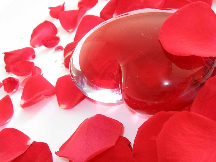 Heart, Love, Romance, Flowers, Feelings, heart glass decor, HD wallpaper