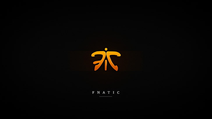 Tnatic etxt, Counter-Strike: Global Offensive, Fnatic, Half-Life, HD wallpaper