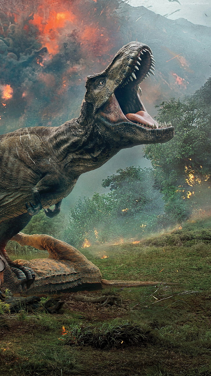 Jurassic world fallen kingdom 1080P, 2K, 4K, 5K HD wallpapers free download  | Wallpaper Flare