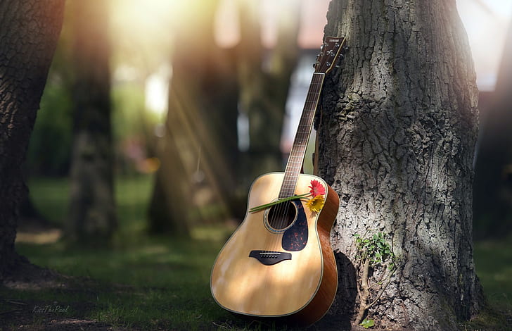 Flower guitar 1080P, 2K, 4K, 5K HD wallpapers free download | Wallpaper  Flare