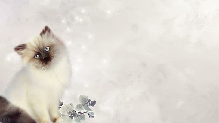Elegant Kitten, feline, flower, cute, animal, animals