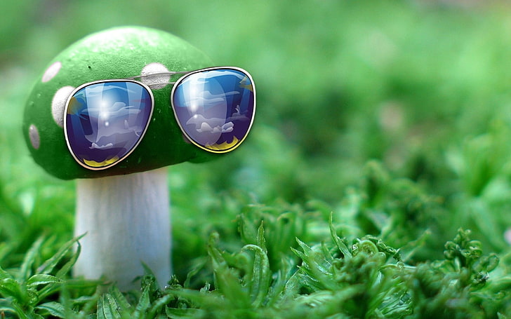 green and white mushroom and aviator sunglasses, idea, creative