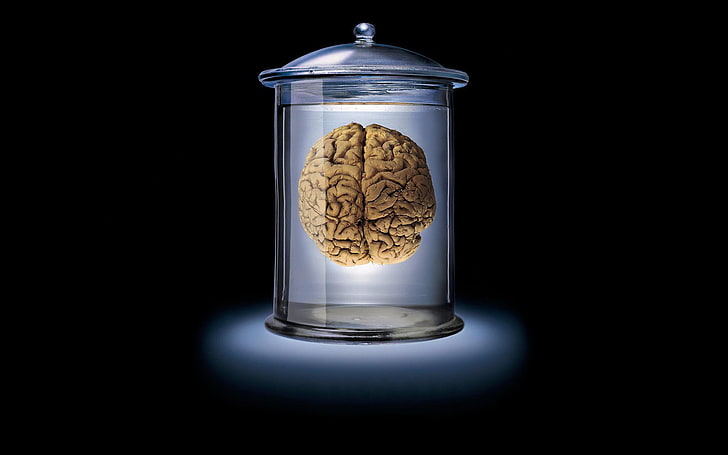 brain, glass jar, backlighting, dark background, digital art