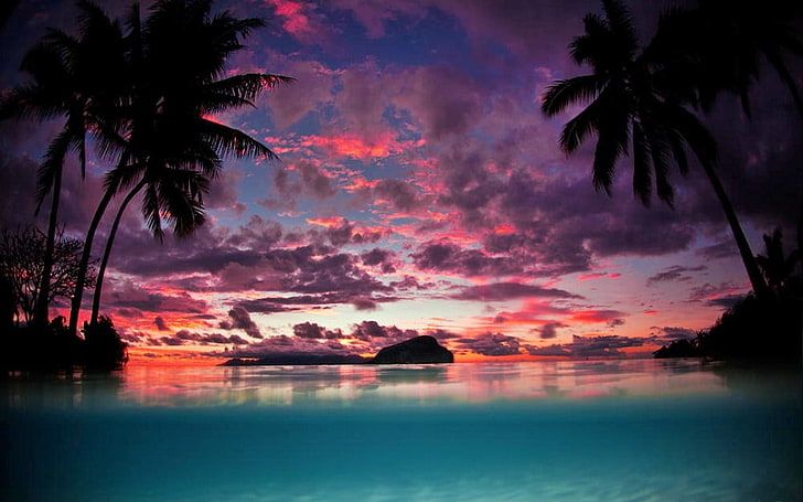 palm trees painting, landscape, nature, Tahiti, sunset, island