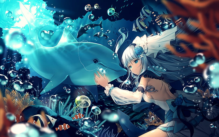 HD wallpaper: dauphin, anime, original characters, water, dolphin,  underwater | Wallpaper Flare
