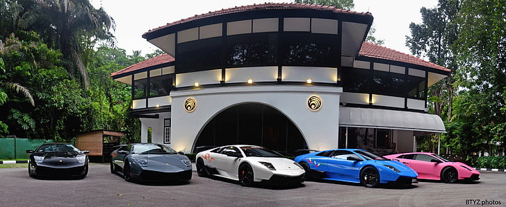 Lamborghini Murcielago, vehicle, car, motor vehicle, plant, HD wallpaper