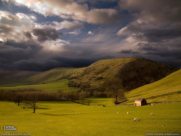 green grass, sky, hills, cloud - sky, scenics - nature, landscape