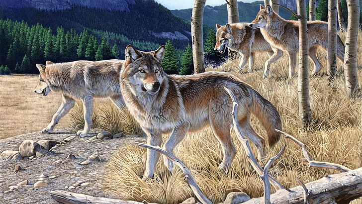 wildlife, painting, wolf, wilderness, coyote, gray wolf, forest, HD wallpaper