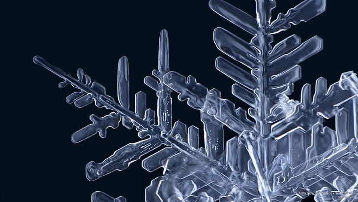 A Microscopic View of a Snowflake, Winter, HD wallpaper