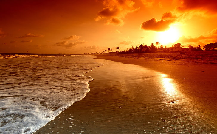 Beach Sunrise, seawave at golden hour wallpaper, Nature, water