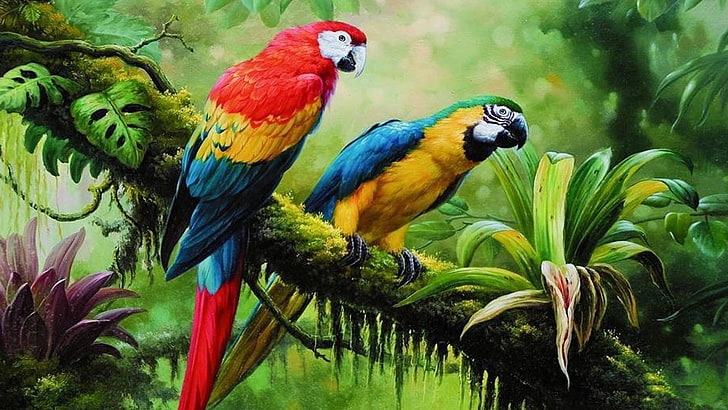 HD wallpaper: bird, parrot, jungle, brach, parrots, painting art, birds,  tropical forest | Wallpaper Flare